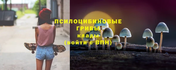 соль курить ск Белокуриха